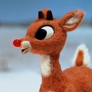 Meet your Posher, Maddy